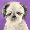Lulu